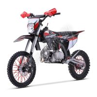 Pitbike MiniRocket DT125 17/14 Automat, světlo, el startér, sedlo 86cm, černý