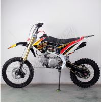 Pitbike MiniRocket Motors CRF110 17/14 125ccm