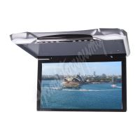 ds-116mg Stropní LCD monitor 11,6&quot; / HDMI / RCA / USB / IR / FM