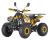 Dětská čtyřtaktní čtyřkolka ATV Warrior DELUX 125ccm maskáč žlutý 3 rych. poloaut. 8&quot; kola